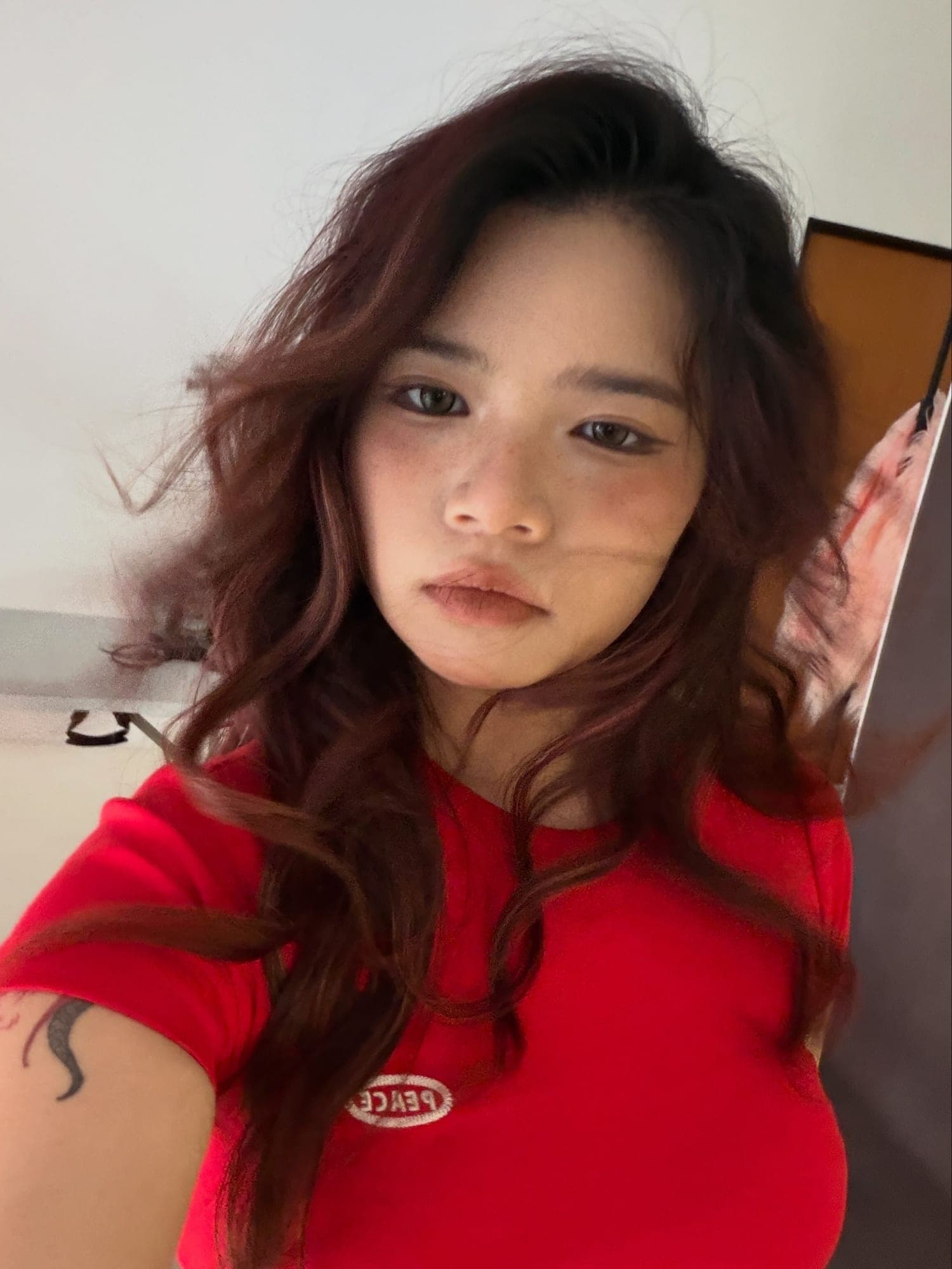 不吃鱼的goldfish🐟 cover